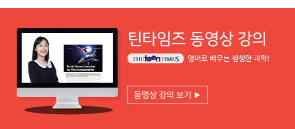 틴타임즈 동영상강의