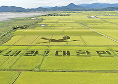 Have Strength, Korea - Photo News