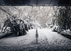 Spain Reels From Heavy Snow - Global News