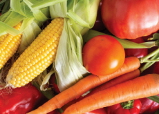 Becoming Vegetarian - Special Report