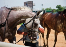 The History of the Kentucky Derby - History