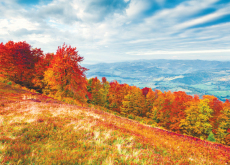 Autumn Has Its Colors - Special Report