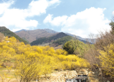 Feeling in Awe of Nature Makes People Generous - Science