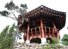 General Choe Yeong - History