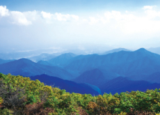 Naming Contest For Korea Dulegil - National News I