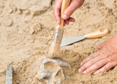 Why Study Archaeology? - Culture