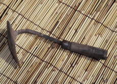 The New “It” Tool For Gardeners? - National News I
