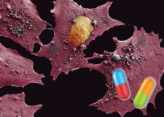 Old Drug For Alcoholism Becomes Cancer Treatment - Science