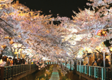 The Jinhae Gunhangje Festival - In Spotlight