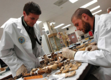 Identifying Human Remains - Culture