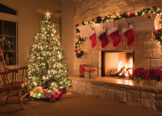 The Very First  Christmas Tree - Culture